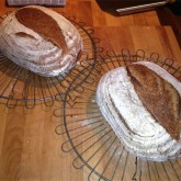 Henk Verhaar - First loaves using new bannetons - hybrid sourdough/(instant) yeast bread