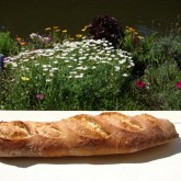 Darna Weinstein -Weekend Bakery recipe baguettes slashed with w/e bakery lame pic 1 all four pic 2 on the window sill