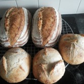 Joost den Ouden -  Stokbrood en baguetteboulle, Rustique en Rustique met zaden, mini sourdough boulle