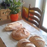 Mirela Giles - Baking loaves with Weekend Bakery tools in Romania.