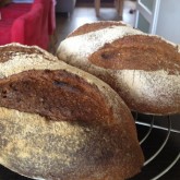 Bjorn Mateijsen whole wheat levain