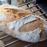 Govert - Baguette Batard