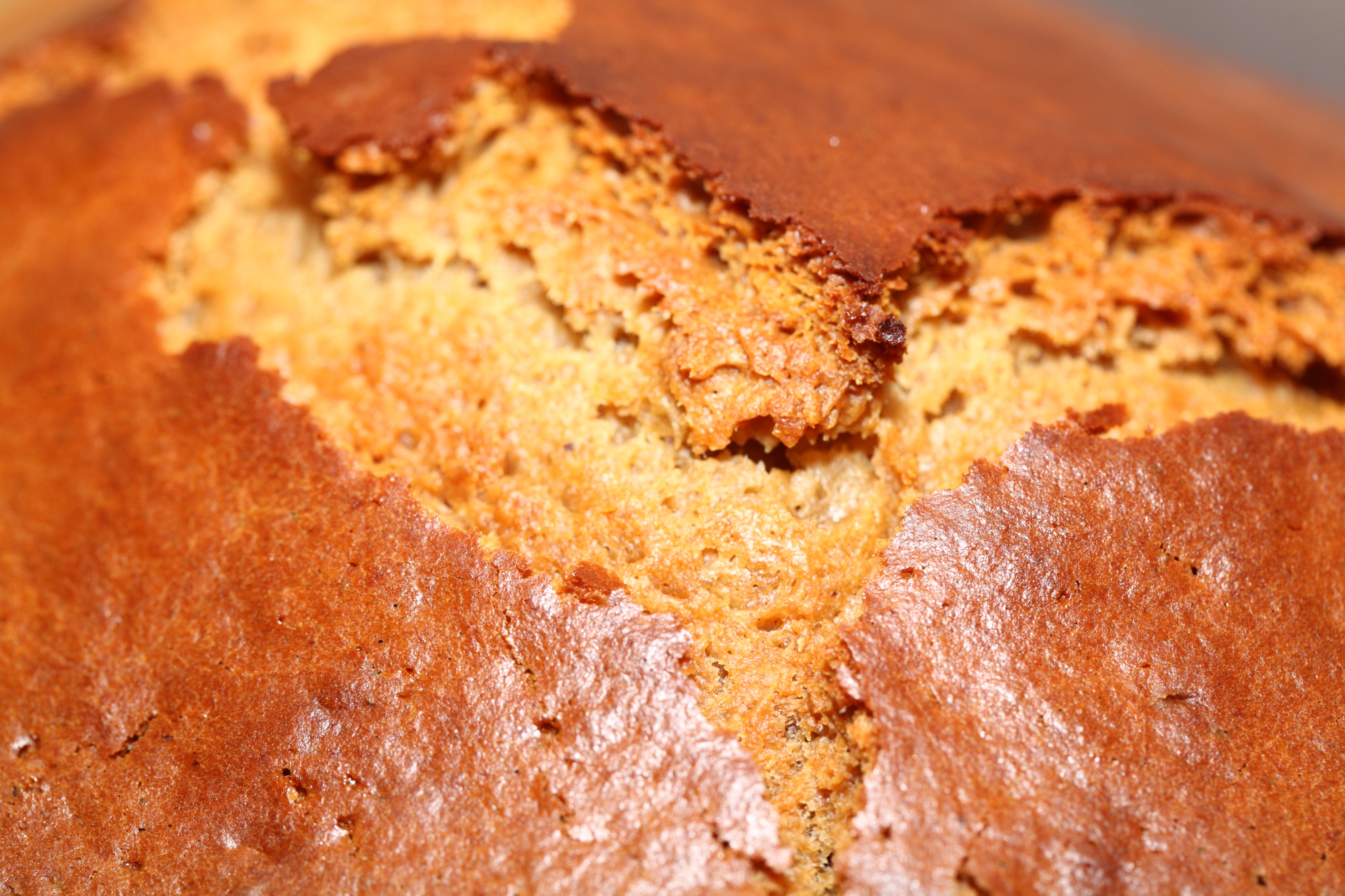 My Dutch speculaas gingerbread cake with rye, buttermilk & honey