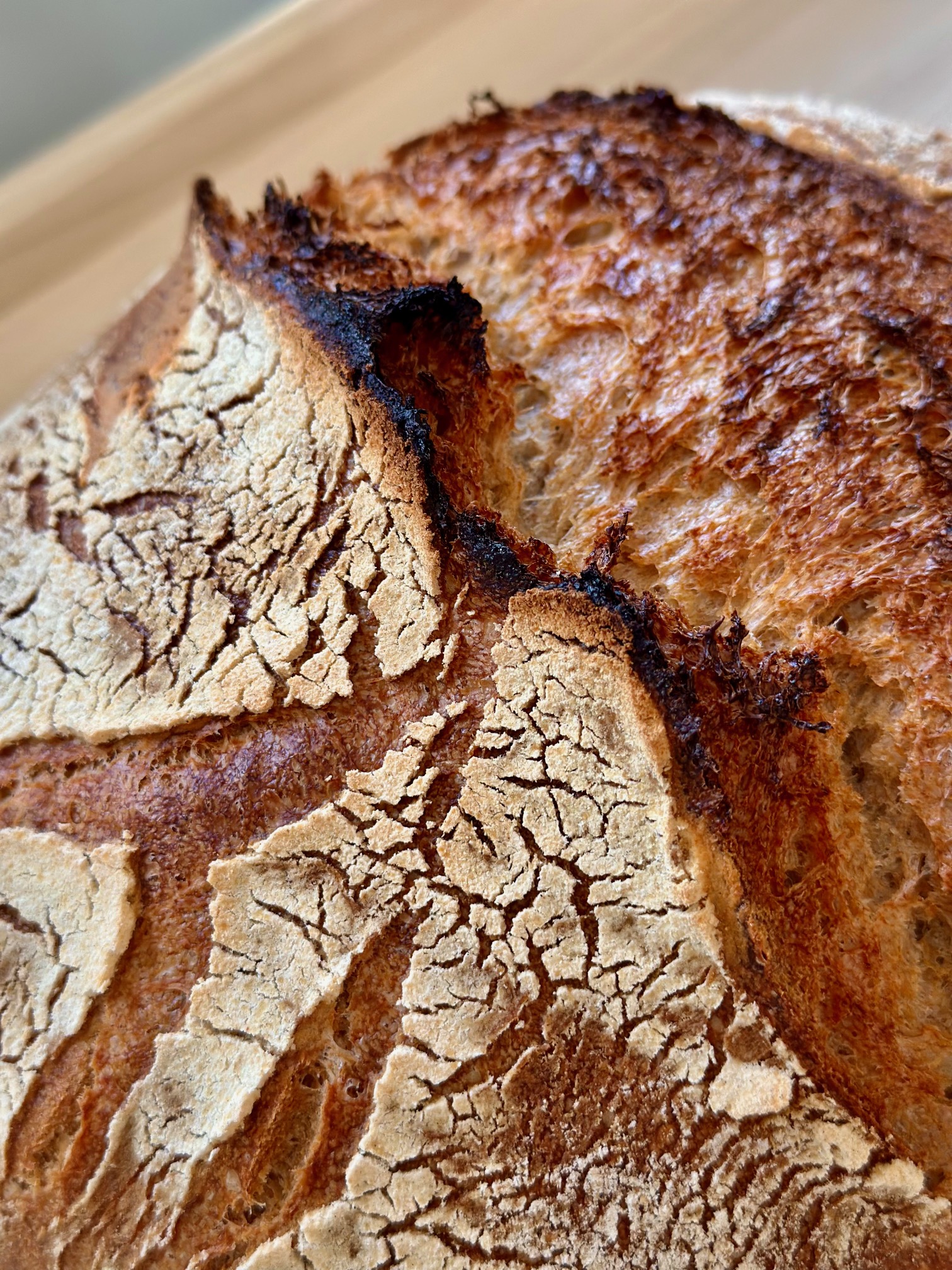 Making a Miche: The 2026 version