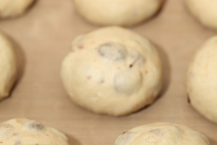 raisinbuns11